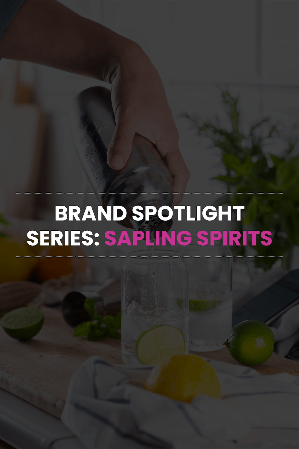 Brand Spotlight Series: Sapling Spirits
